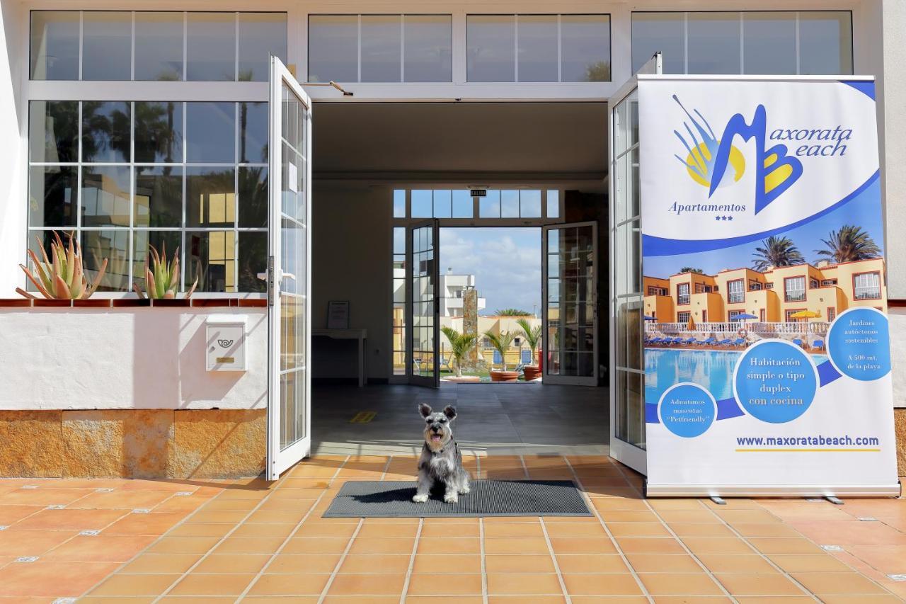 קורלחו Apartamentos Maxorata Beach מראה חיצוני תמונה