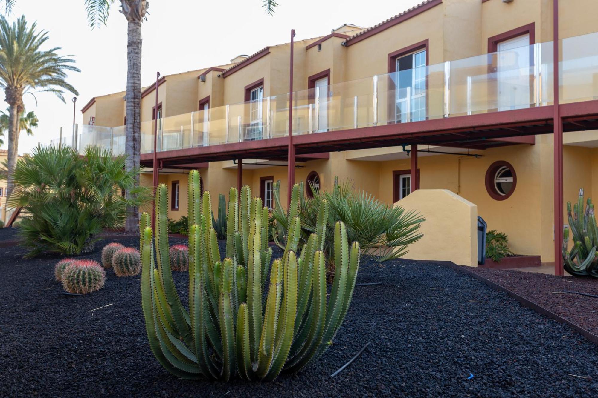 קורלחו Apartamentos Maxorata Beach מראה חיצוני תמונה