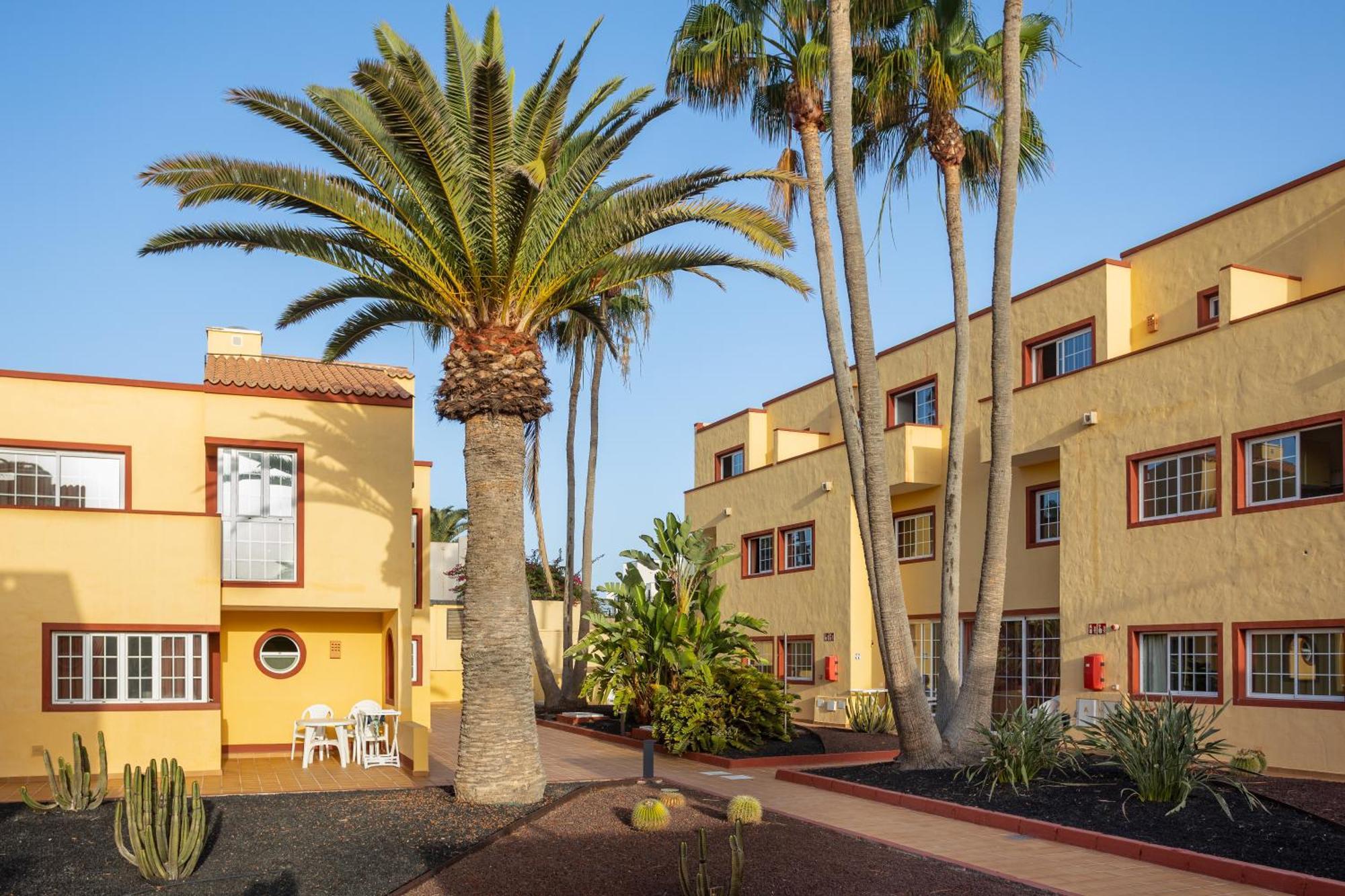 קורלחו Apartamentos Maxorata Beach מראה חיצוני תמונה